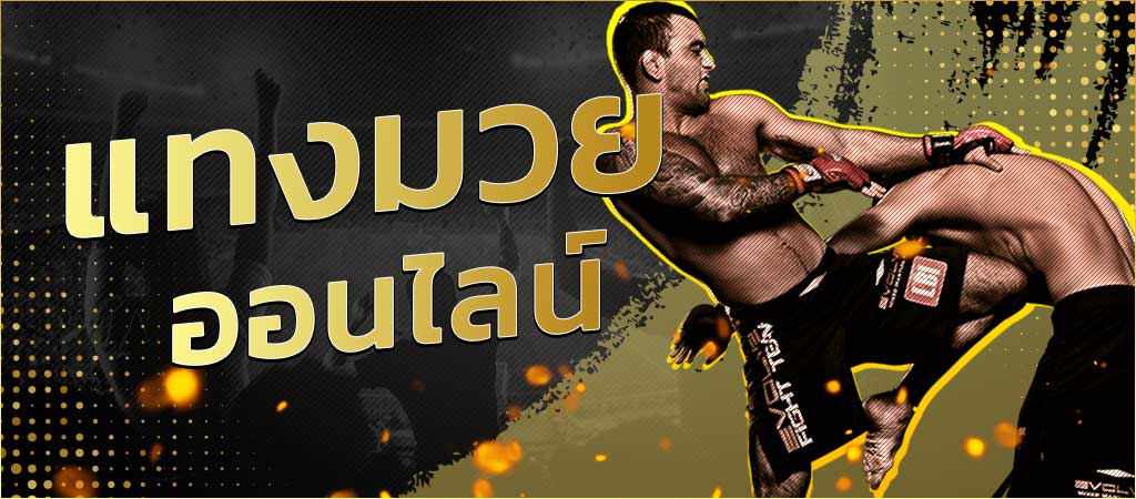 แทงมวยออนไลน์ กติกาการแทงมวยใน SBOBET เบื้องต้น
